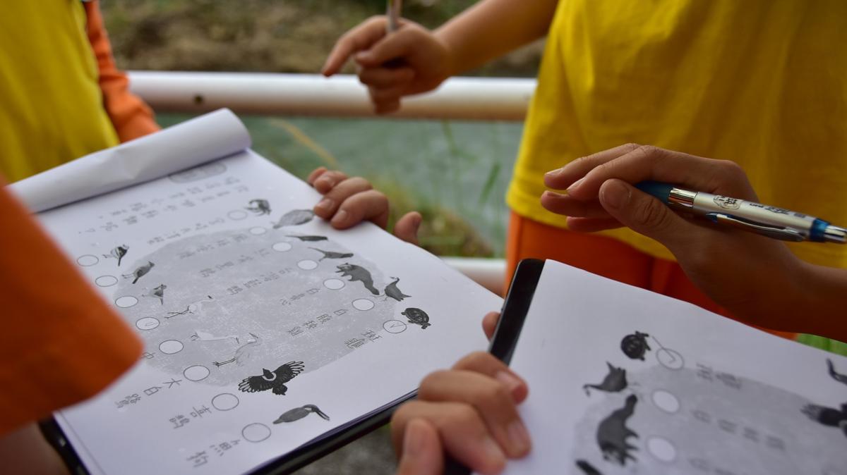 孩子在溪邊做生態調查