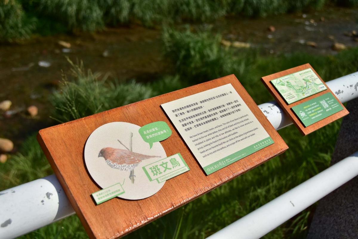 溪畔斑文鳥解說牌